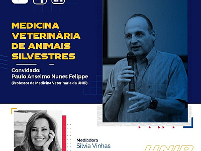 UNIP promove live sobre Medicina Veterinária nesta terça-feira (24)
