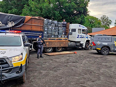 Muralha Paulista: Polícia Rodoviária ultrapassa 111 toneladas de drogas apreendidas no ano