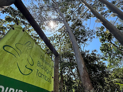 Uma onda verde em meio a Alphaville