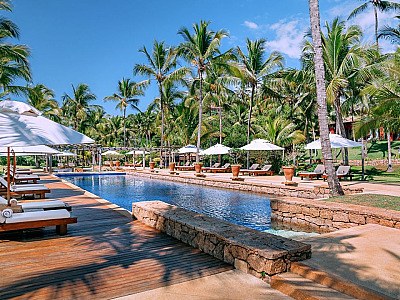 Dia do Meio Ambiente: 5 hotéis que protegem a fauna brasileira