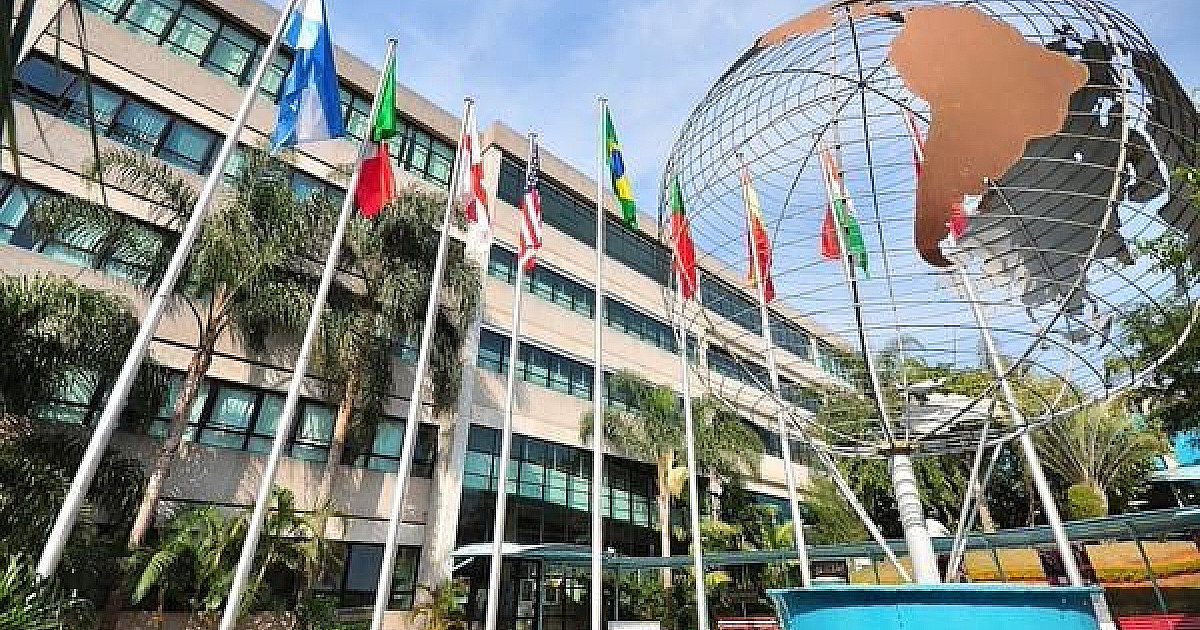 Escola de Alphaville oferece aulas online gratuitas de preparação para a redação do Enem