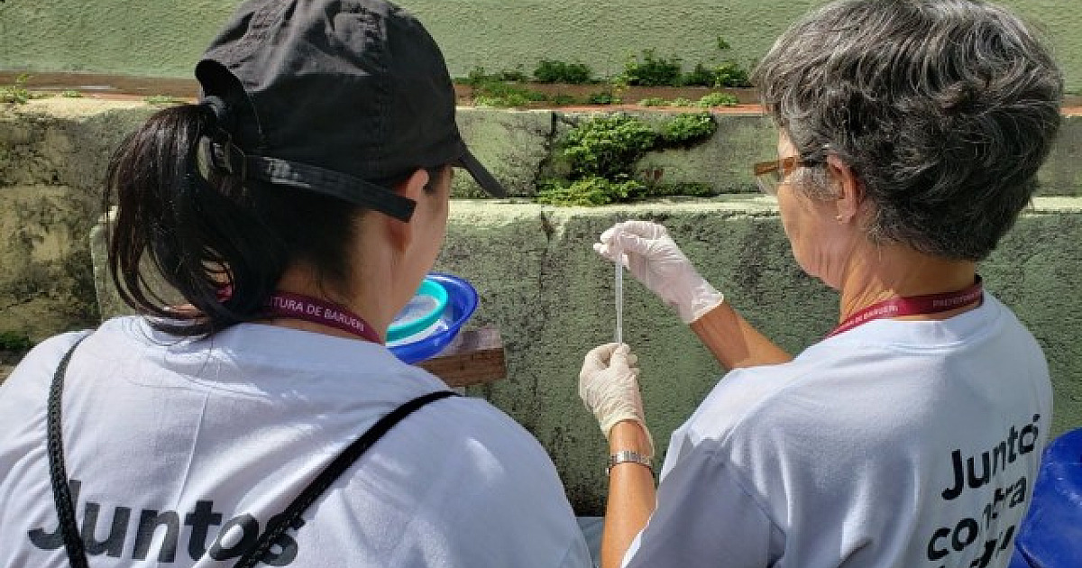 Casos de dengue têm alta e Barueri investe em ações