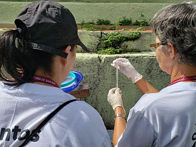 Casos de dengue têm alta e Barueri investe em ações