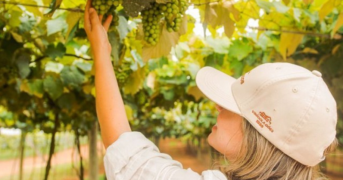 Vinícola Góes proporciona uma experiência exclusiva com a família Góes