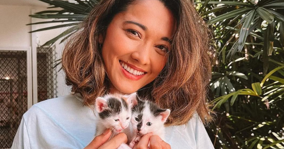 ONG House of Cats arrecada tampas de garrafas de plástico e lacres de latinha