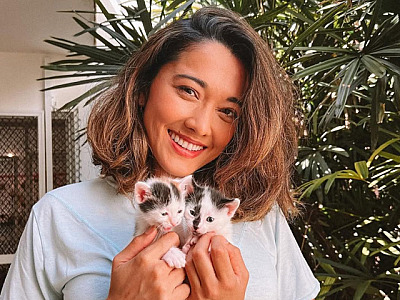 ONG House of Cats arrecada tampas de garrafas de plástico e lacres de latinha