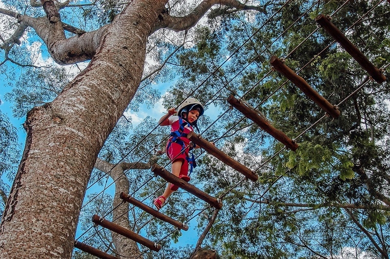 Brotas cada vez mais kids