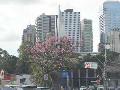 Preço de venda de unidades tem alta de 1,10% em Barueri