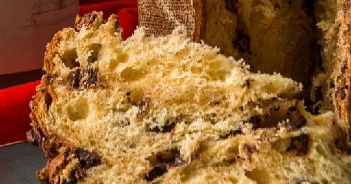 Sterna Café lança panetone especial de Natal com campanha “Uma Jornada de Sabores”