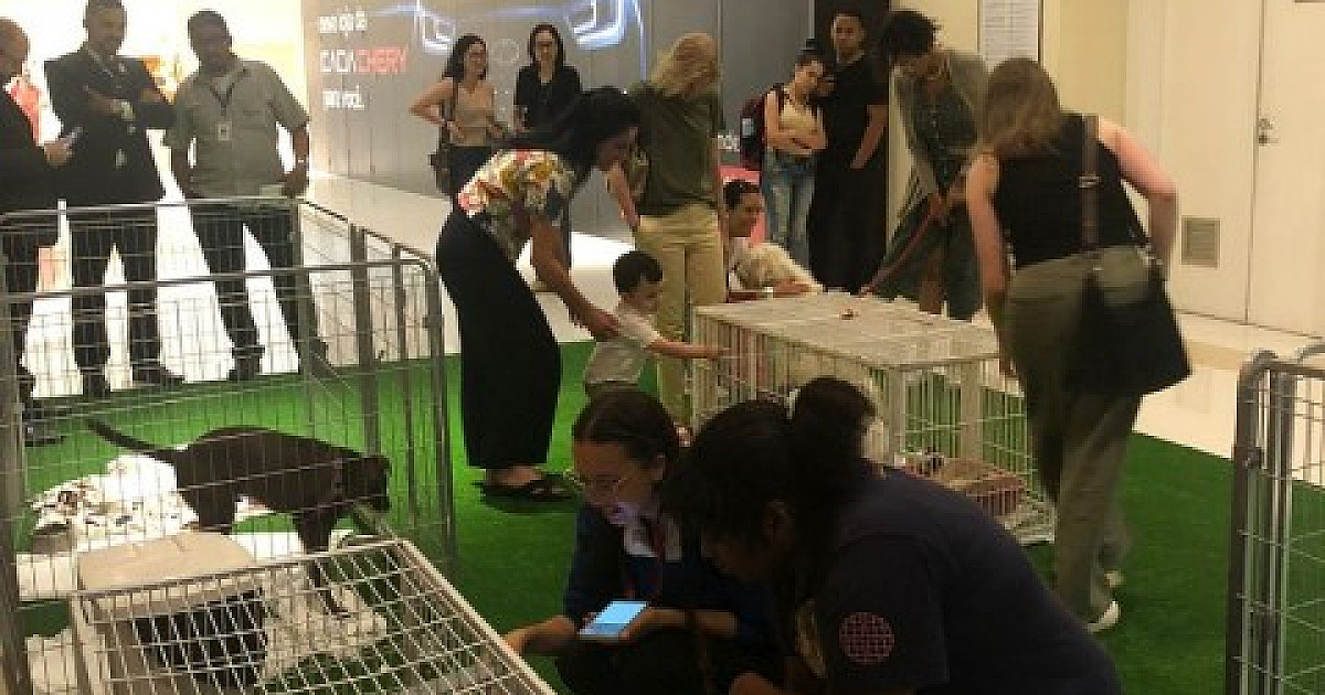Em parceria com a ONG Canto da Terra, Iguatemi Alphaville realiza feira pet