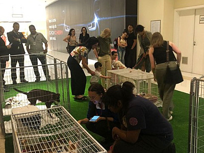 Em parceria com a ONG Canto da Terra, Iguatemi Alphaville realiza feira pet