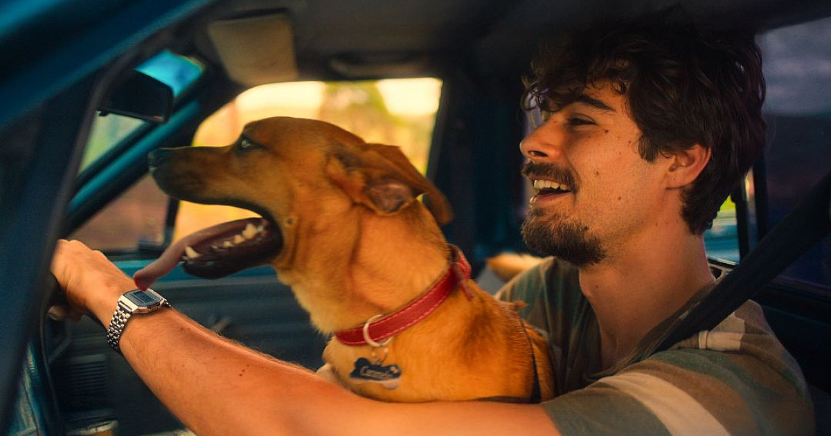 Netflix lança trailer divertido e emocionante do filme Caramelo, estrelado por Rafael Vitti e o cãoz