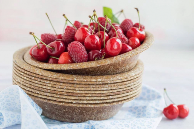 Empresa cria solução biodegradável com farelo de trigo para pratos e talheres descartáveis