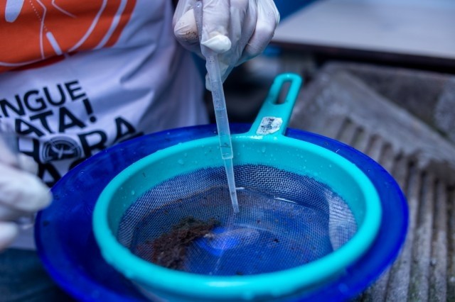 Em meio à pandemia de coronavírus, moradores têm que lembrar da dengue