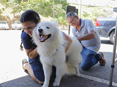 Em julho, posto de vacinação contra raiva em Barueri funcionará em dois sábados