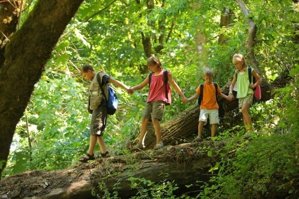 Café ganha programação especial em maio na Fazenda Capoava