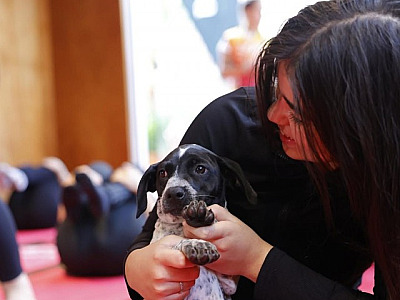 Evento "AUmastê" contará com a participação da ONG SOS Pet Alpha