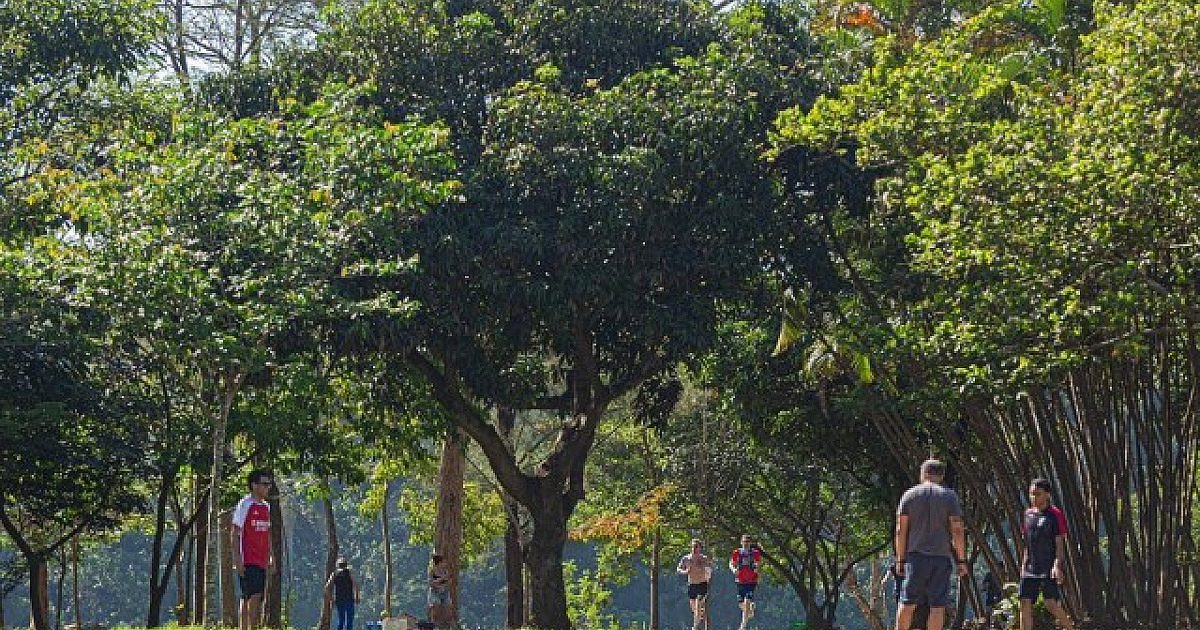 No lado de Barueri, Alphaville conta com mais de 82 mil árvores
