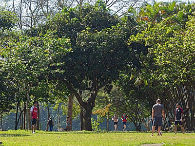 No lado de Barueri, Alphaville conta com mais de 82 mil árvores