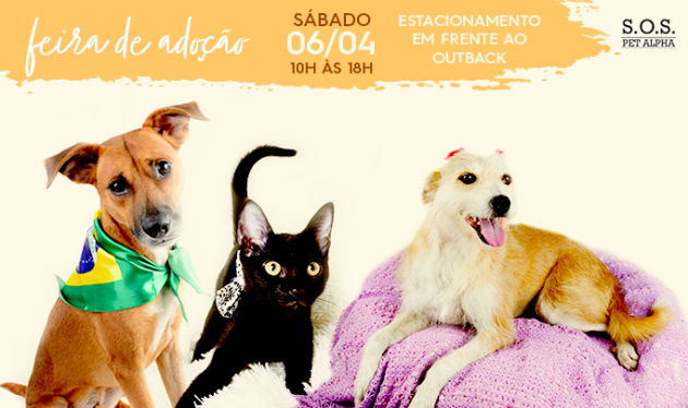 Shopping Tamboré recebe 2ª Feira de Adoção de cães e gatos