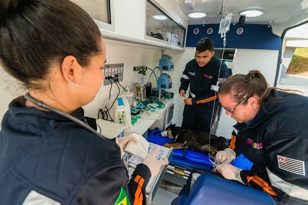 Resgate Animal já está em funcionamento em Barueri