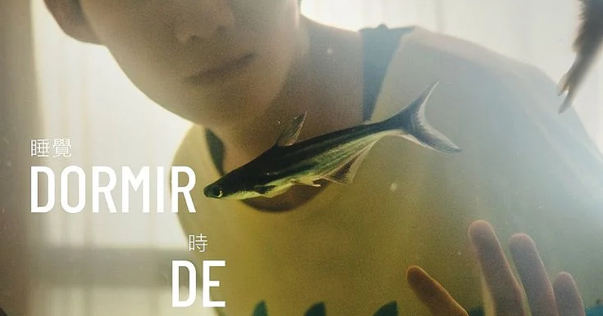 Dormir De Olhos Abertos