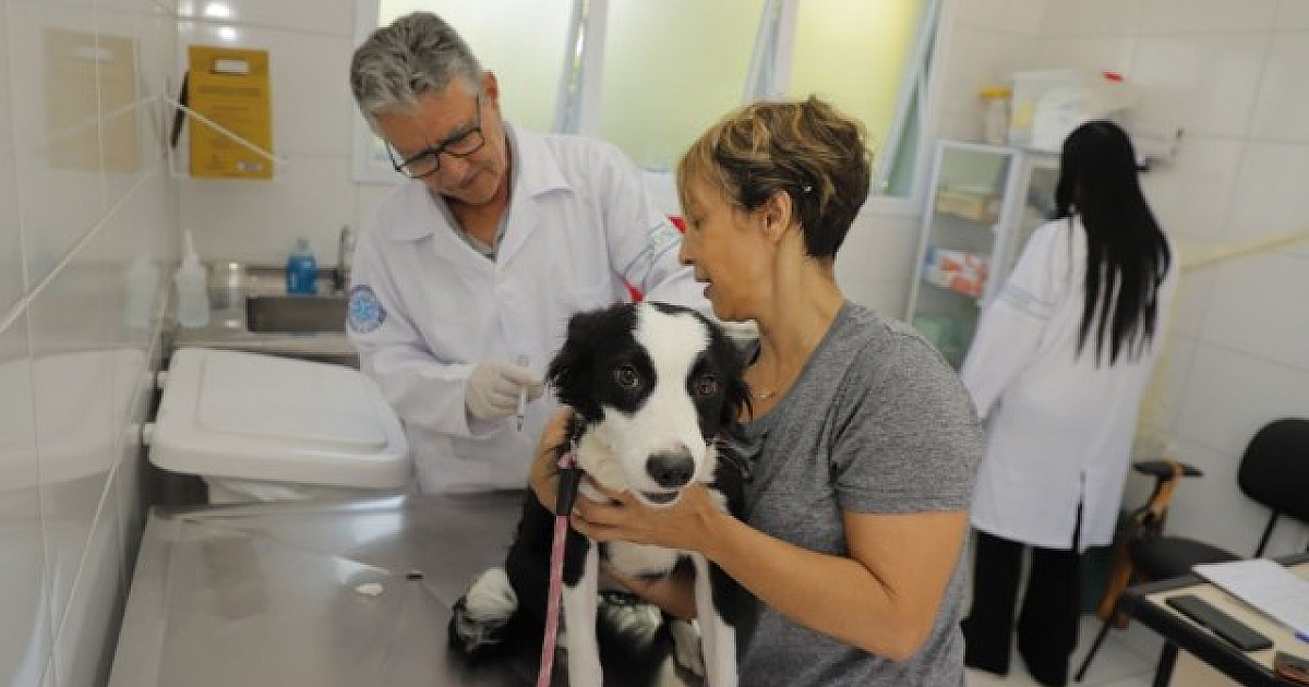 Confira as datas de vacinação contra a raiva em abril em Barueri