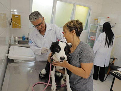 Confira as datas de vacinação contra a raiva em abril em Barueri