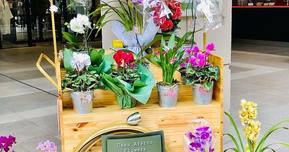 Floricultura Casa Afetto Flowers é novidade no Alpha Square Mall