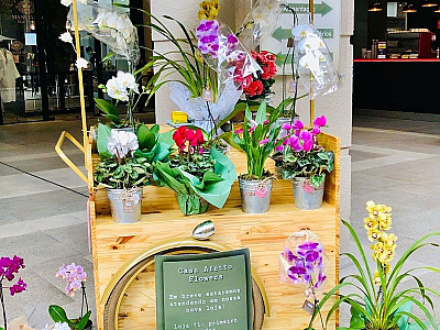 Floricultura Casa Afetto Flowers é novidade no Alpha Square Mall