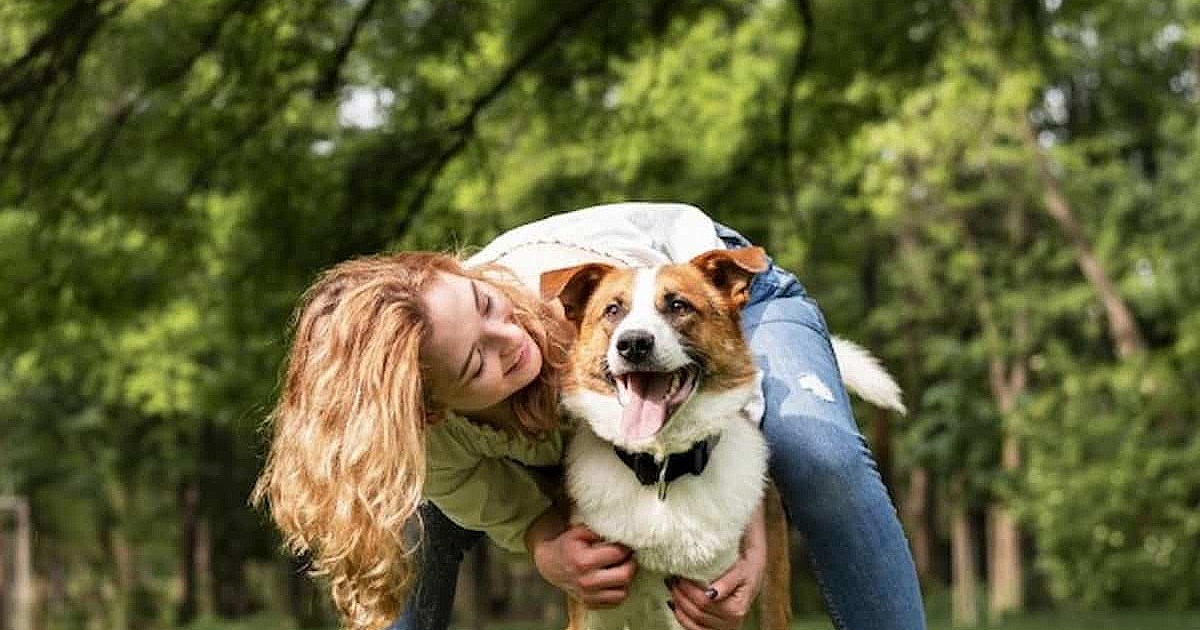Barueri abre agendamento para castração gratuita de pets