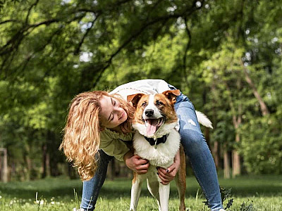 Barueri abre agendamento para castração gratuita