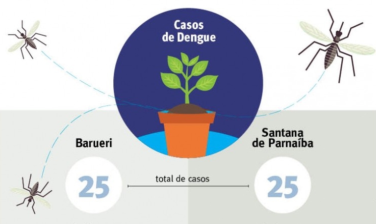 Em alerta para surto, municípios têm alta de 350% em casos de dengue