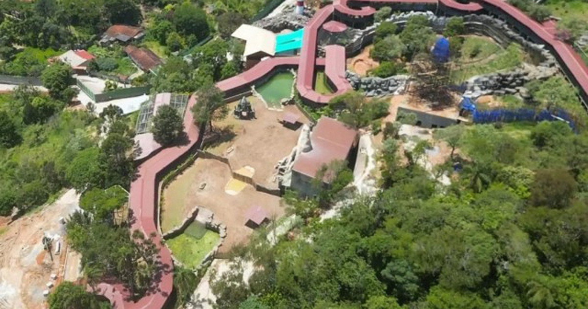 Animália Park abre as portas nesta sexta-feira (7) com proposta de integrar parque de diversão e zoo