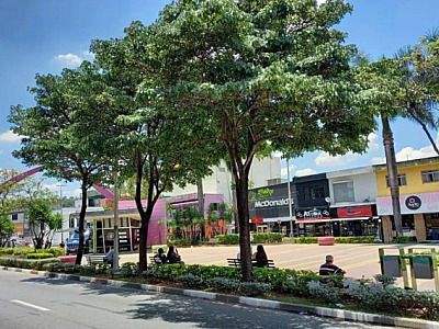 Região terá ‘gangorra’ na temperatura ao longo da semana