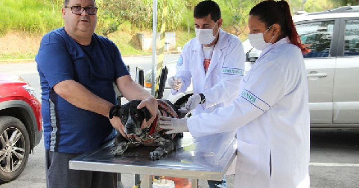 Barueri realiza agendamento para vacinação antirrábica até sexta-feira (1/7)