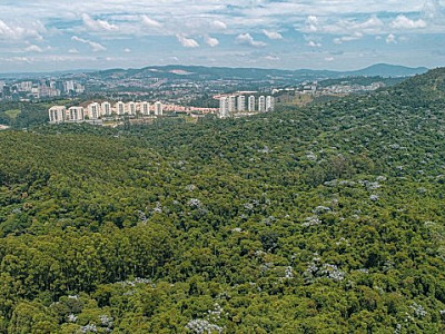 Barueri e Santana de Parnaíba estão em “nível zero” de desmatamento, diz SOS Mata Atlântica