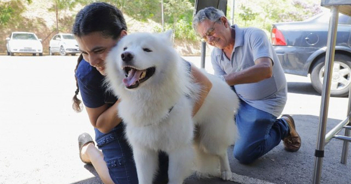 Barueri amplia atendimento no posto fixo de vacinação contra raiva