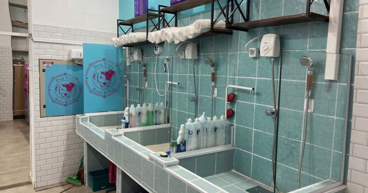 Pet shop Dog Ville inaugura unidade em Alphaville