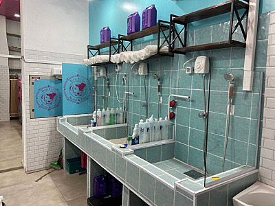 Pet shop Dog Ville inaugura unidade em Alphaville