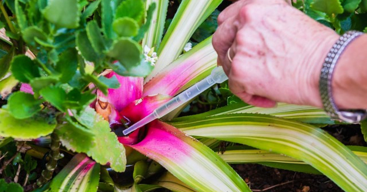 Municípios têm queda de mais de 80% em casos de dengue