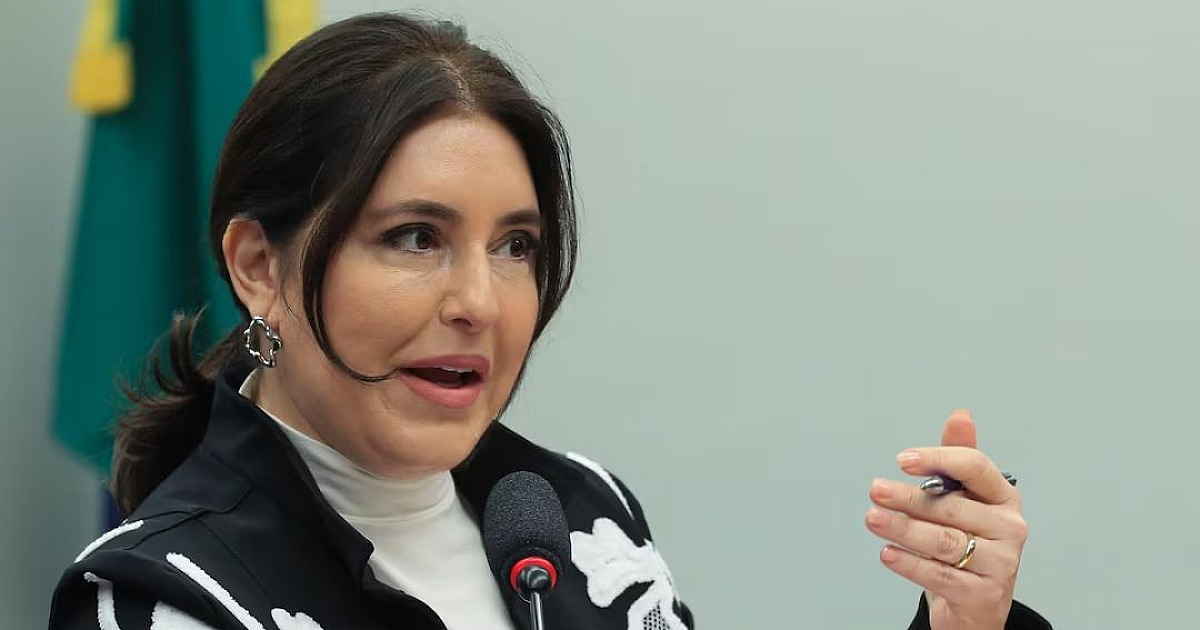 Questões a resolver com os EUA passam por etanol e terras raras, diz Simone Tebet