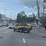 Queda de árvore interdita avenida no Centro de Barueri