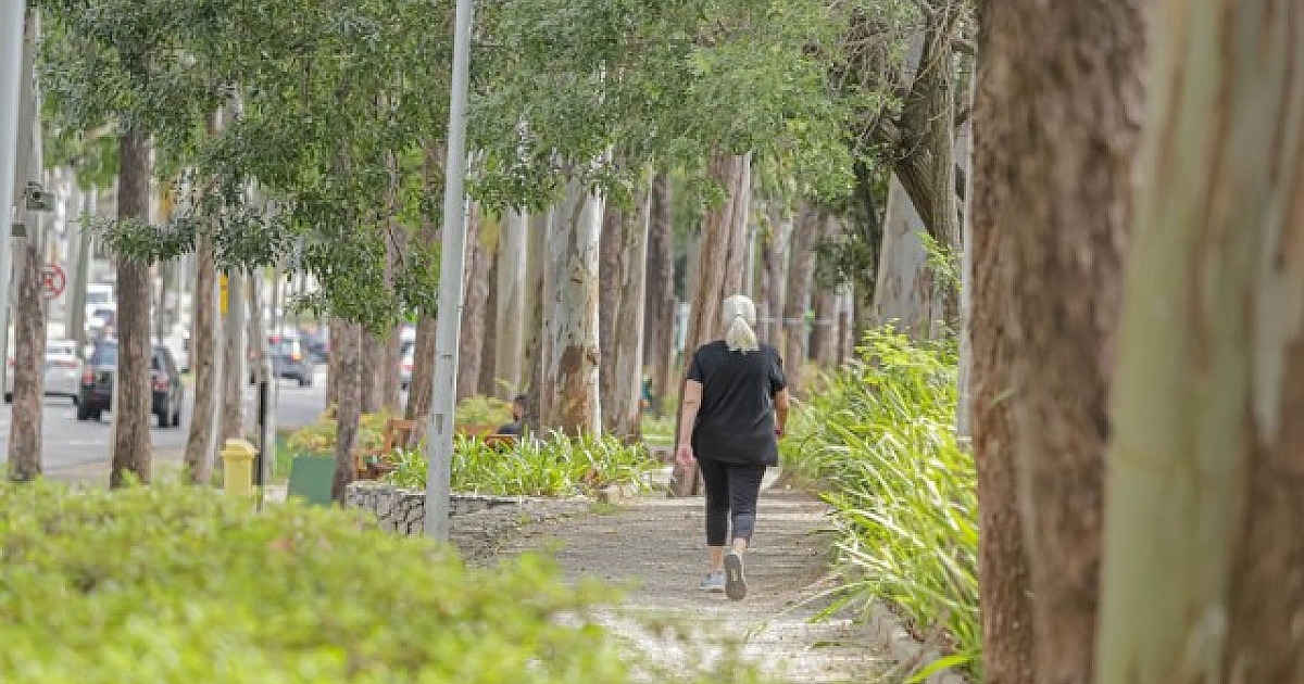 Alphaville atrai famílias e investidores que buscam qualidade de vida e infraestrutura completa