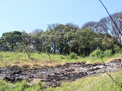 Barueri tem alta no número de queimadas