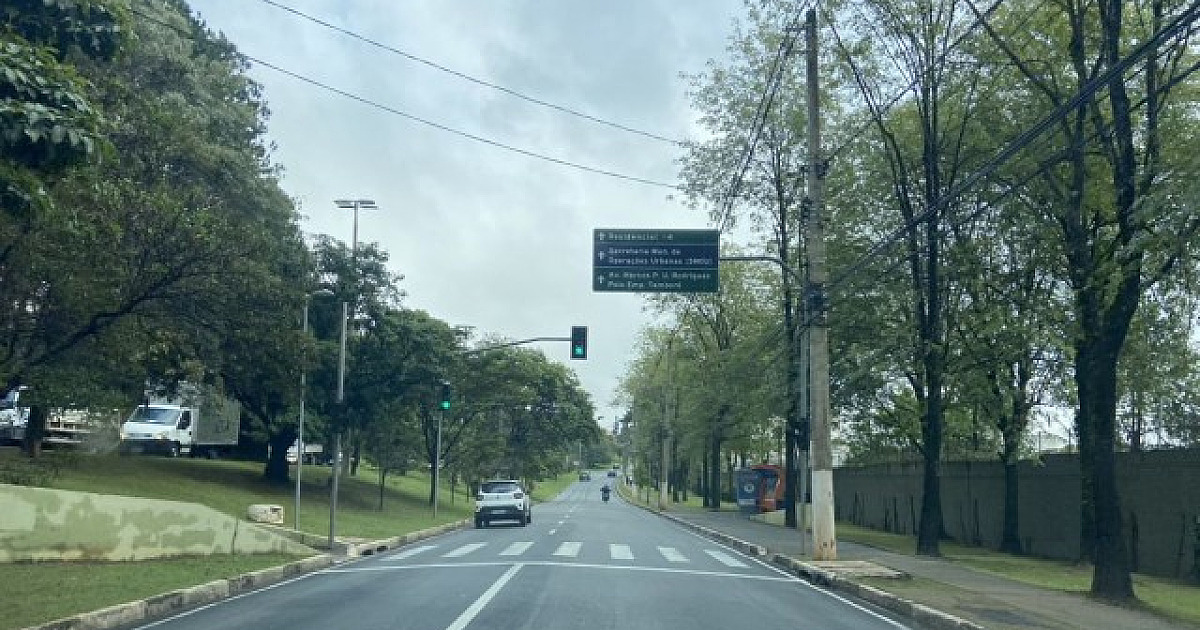 Mais de dez atropelamentos são registrados em Barueri e Santana de Parnaíba neste ano