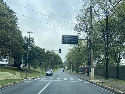 Mais de dez atropelamentos são registrados em Barueri e Santana de Parnaíba neste ano