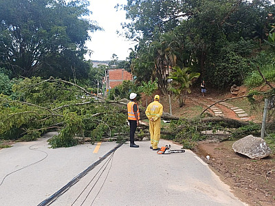 Equipes das prefeituras e concessionárias trabalham para normalizar situação