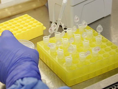 São Paulo confirma primeiros casos da variante Ômicron no Brasil