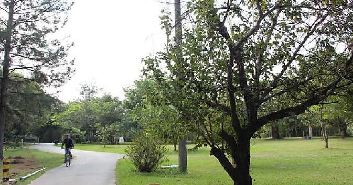 Parques de Barueri reabrem neste feriado